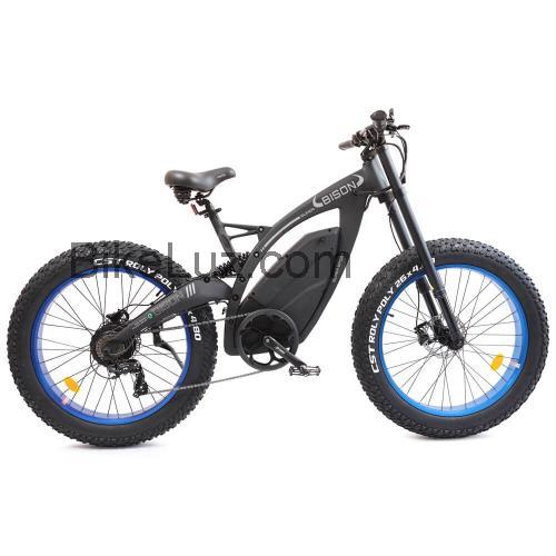 Ecotric Bison ficha tecnica